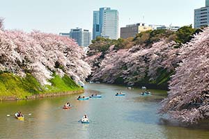 北の丸公園